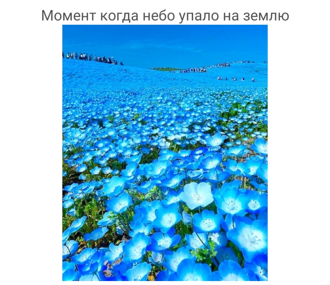 Момент когда небо упало на землю МЙЁЩЪ