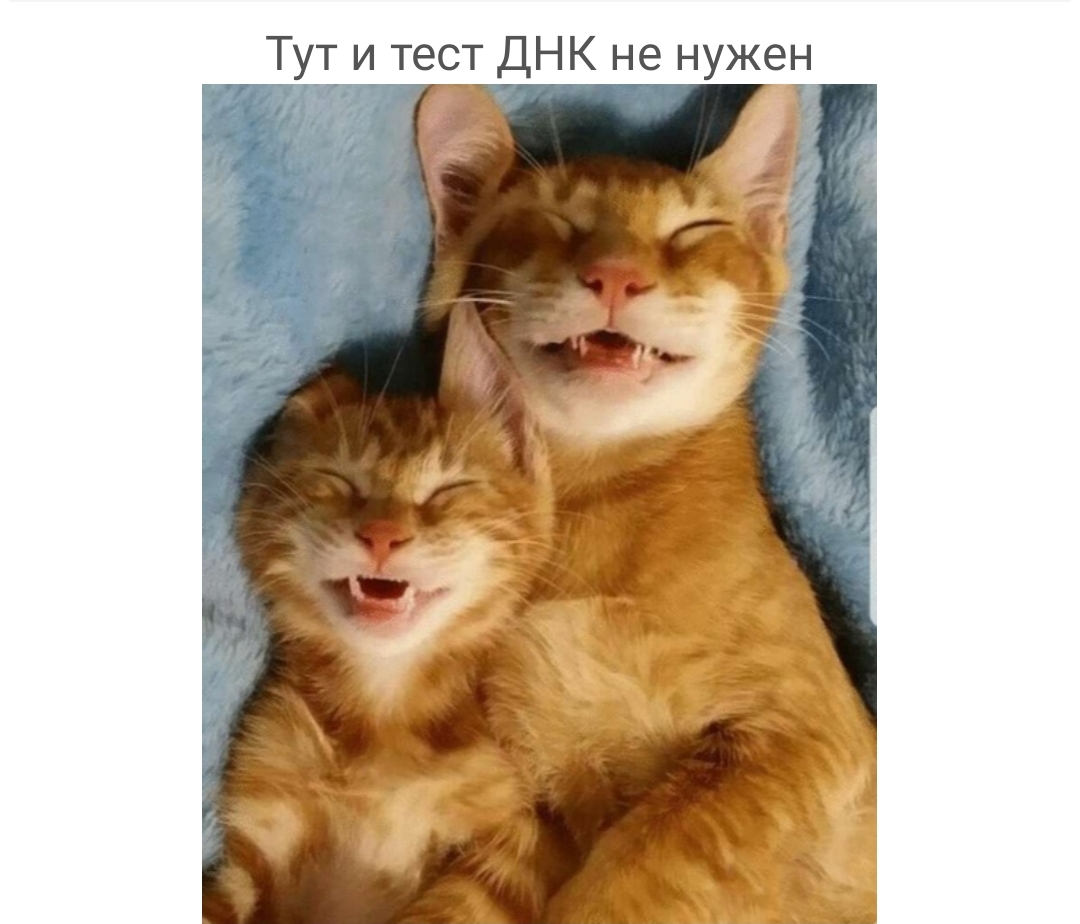 Тут и тест ДНК не нужен