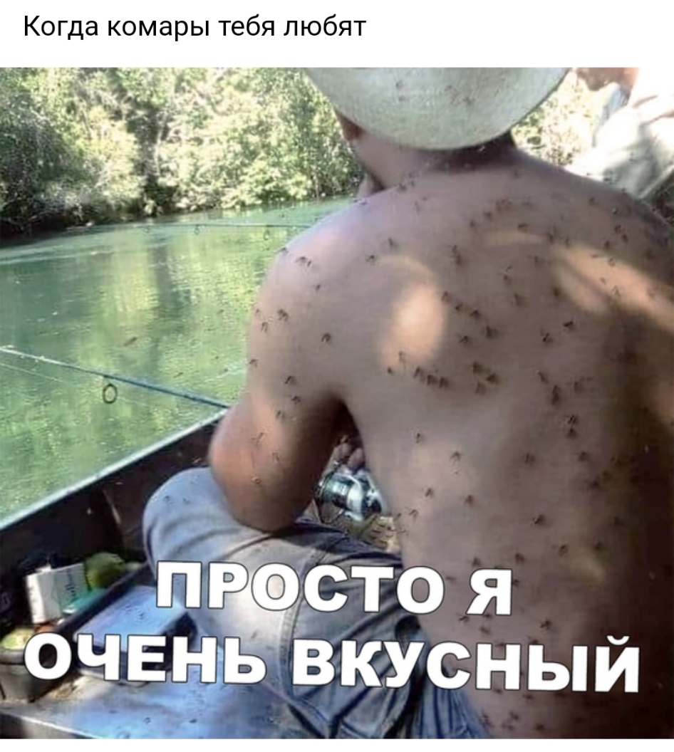 Когда комары тебя любят