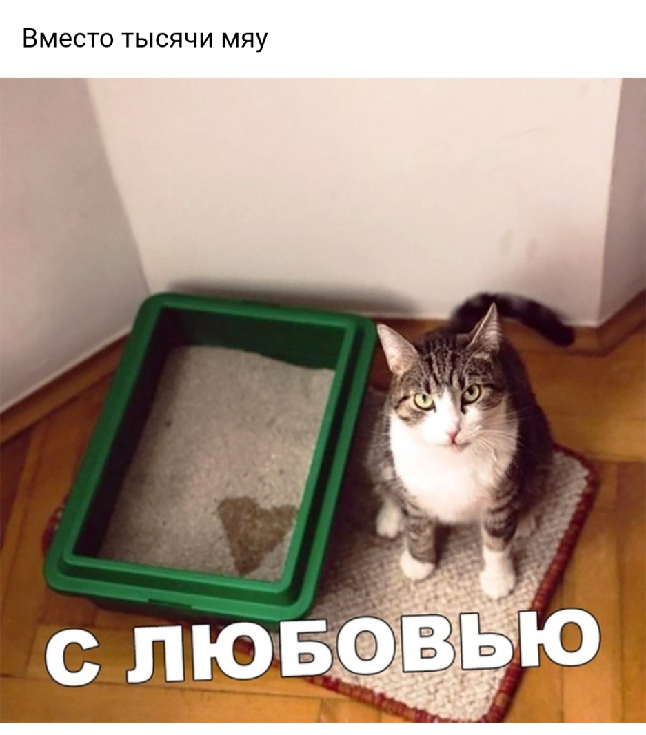 ВМЭСТО ТЫСЯЧИ МЯУ