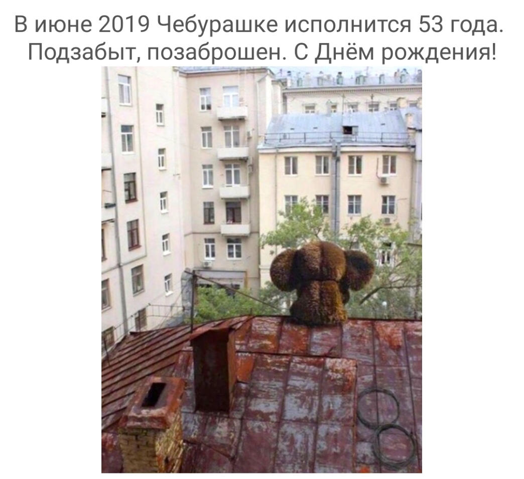 В июне 2019 Чебурашке исполнится 53 года Подзабыт позаброшен С Днём рождения