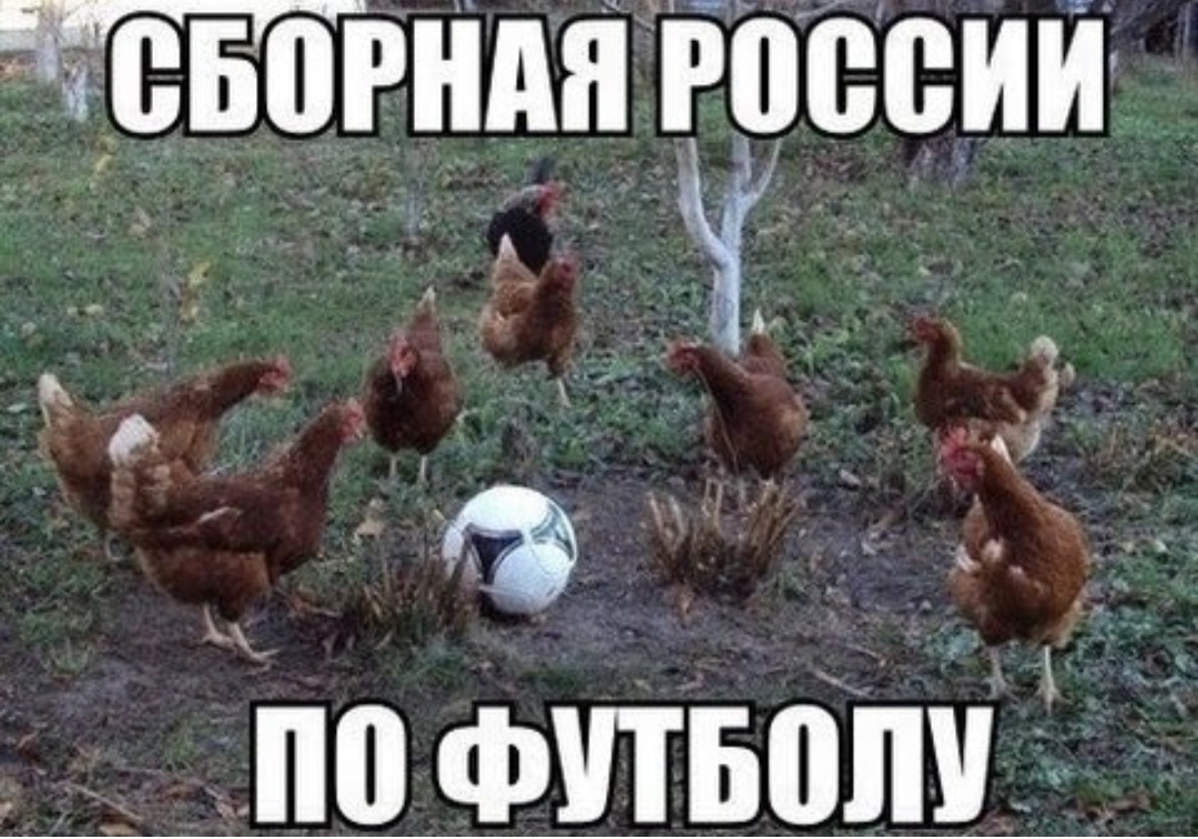 і ВБШНМ РВСВИИ Ёпо финалу