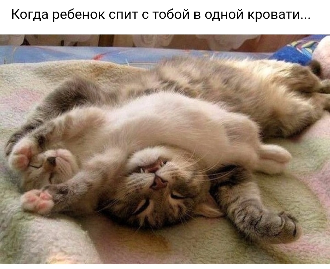 Когда ребенок спит с тобой в одной кровати