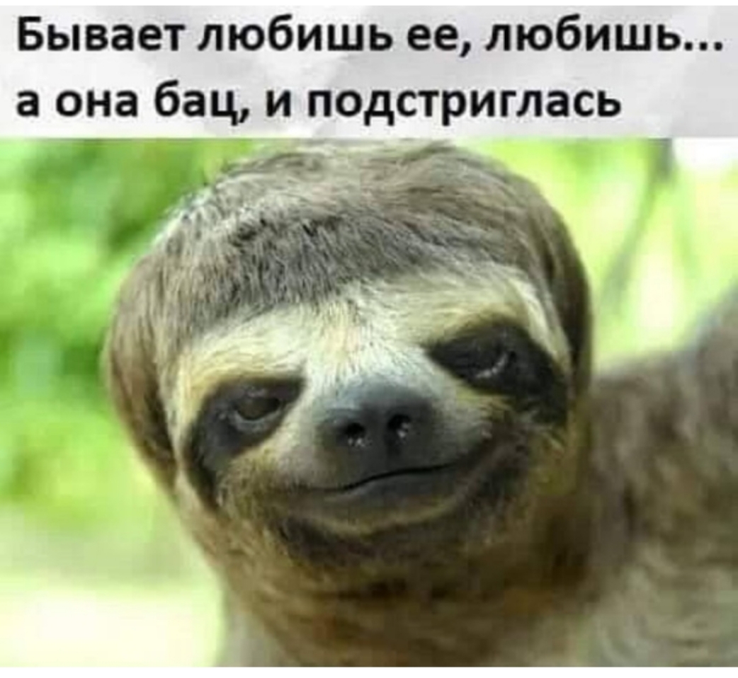 Бывает любишь ее любишь а она бац и подстриглась