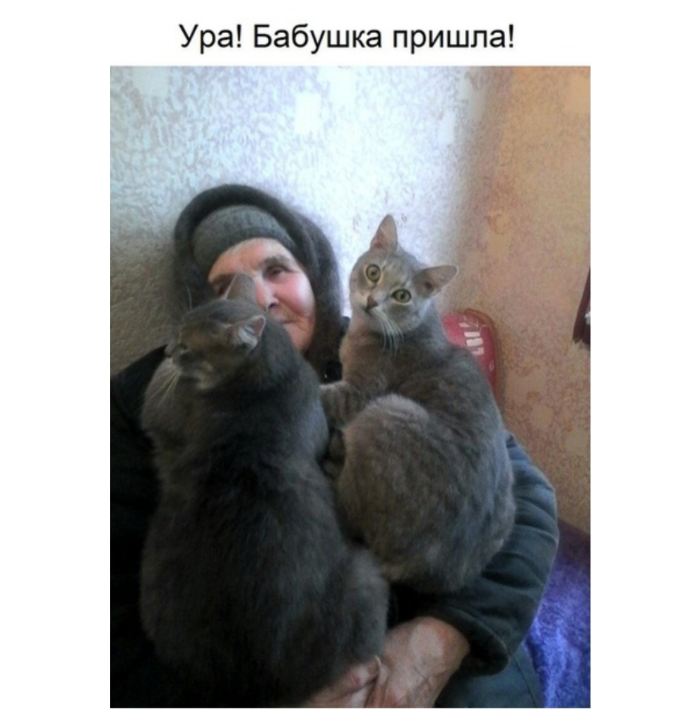 Ура Бабушка пришла