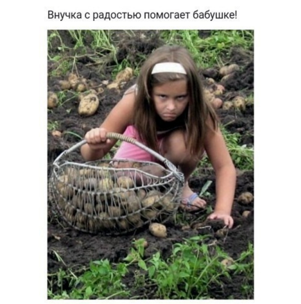 Внучка с радостью помогает бабушке