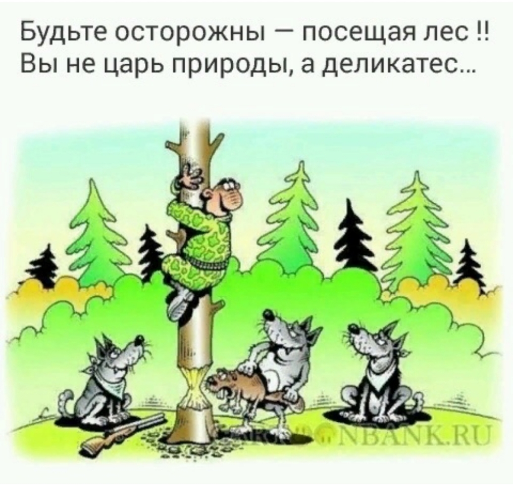 Будьте осторожны посещая лес ВЫ не царь природы а деликатес