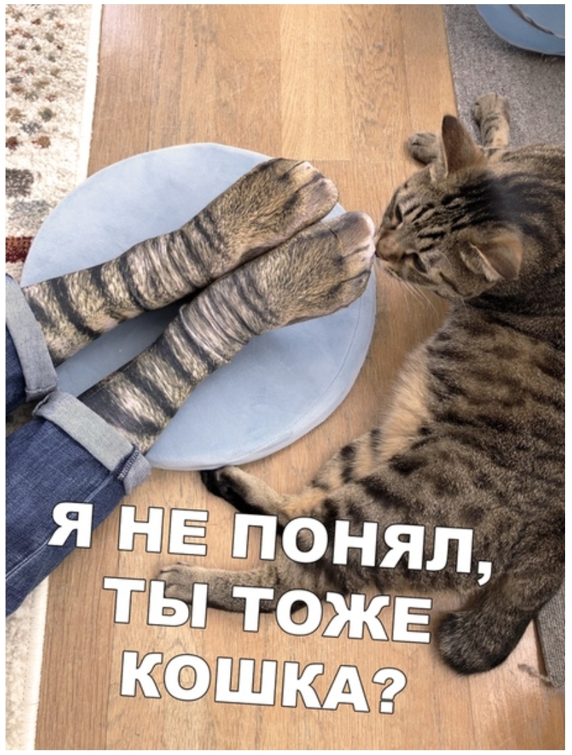 т тв 373