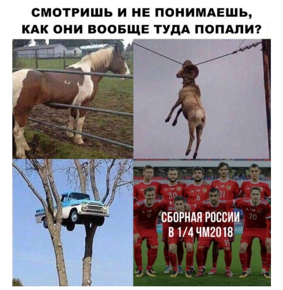 СМОТРИШЬ И НЕ ПОНИМАЕШЬ КАК ОНИ ВООБЩЕ ТУДА ПОПАЛИ _сворнАя россии в 14чмгою