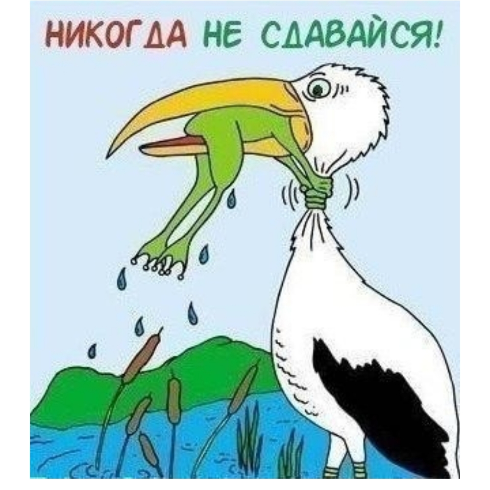 НИКОГДА не сддвдйсяг