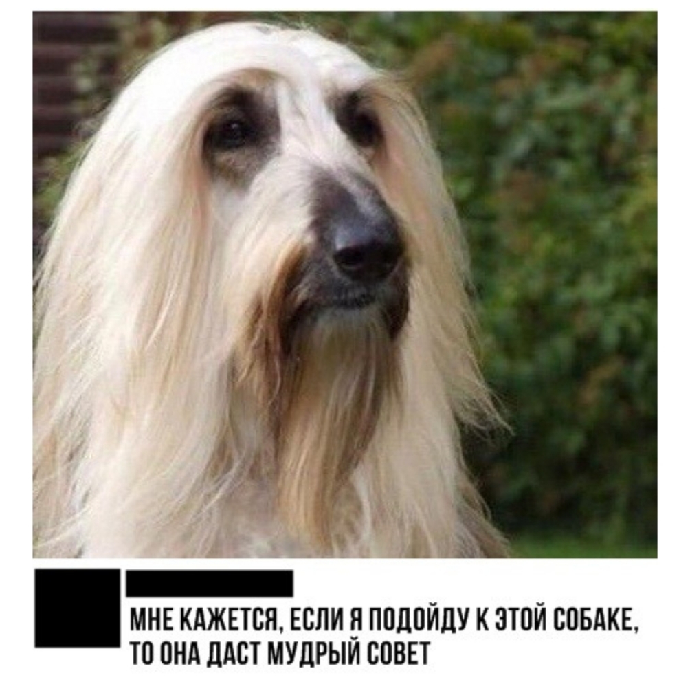 мнв кджпся Если подойду к этой совдкв то пнд дАст мудрыи совы
