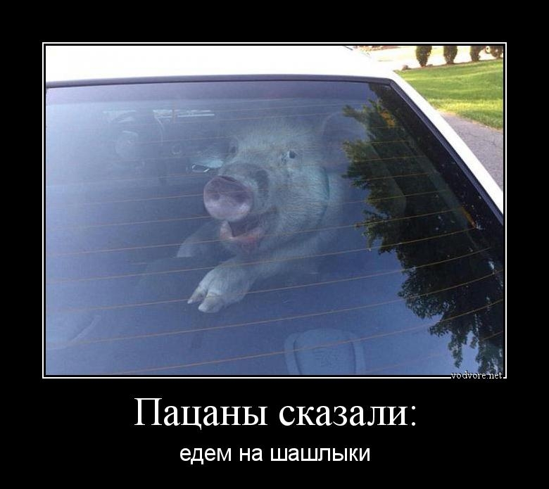 Пацаны сказали едем на шашлыки