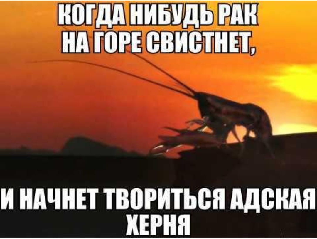 ногдд ниыщь гин нд юг свистни И НАЧНИ ТВВРИТЬВП МБШ КЕРНЯ