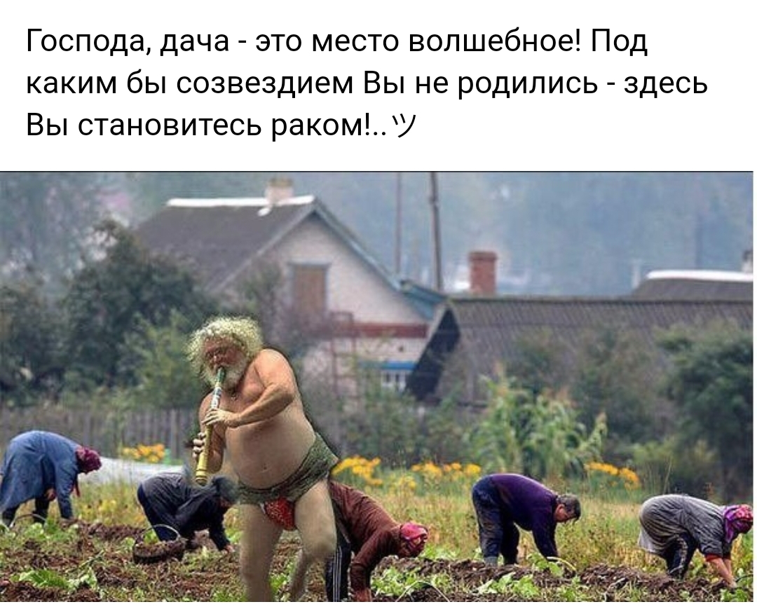 Господа дача это место волшебное Под каким бы созвездием Вы не родились здесь Вы становитесь раком
