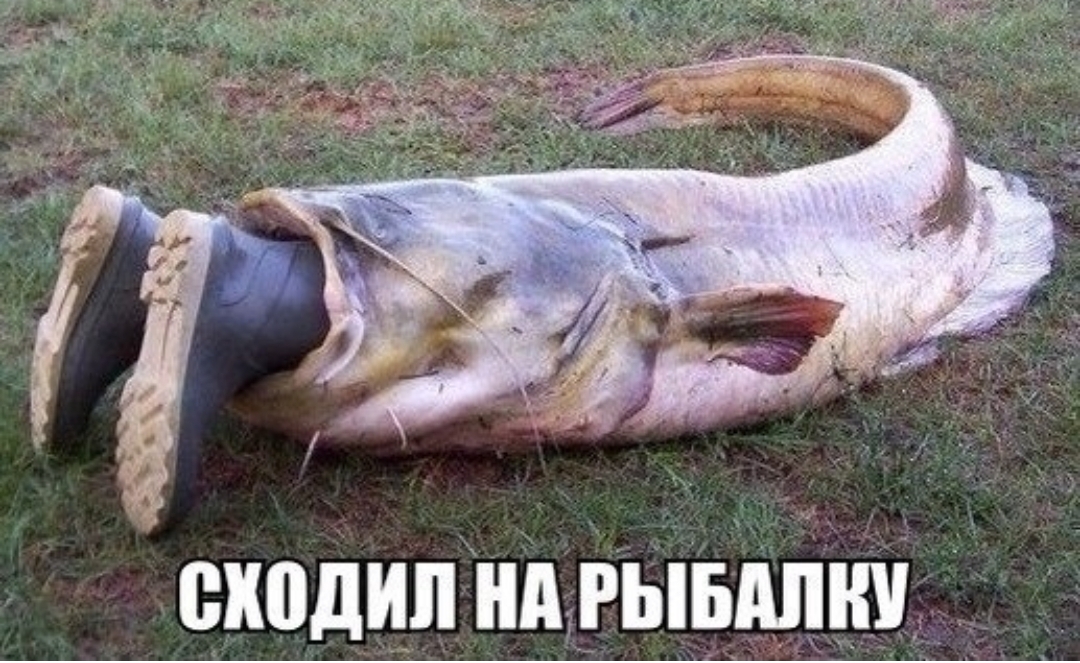 сходил нптгывдпнч