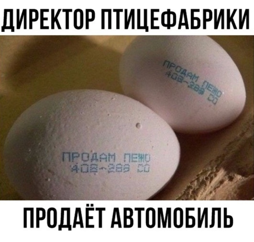 дИРЕКТОР ПТИЦЕФАБРИКИ продАЁтдёіомпвиь