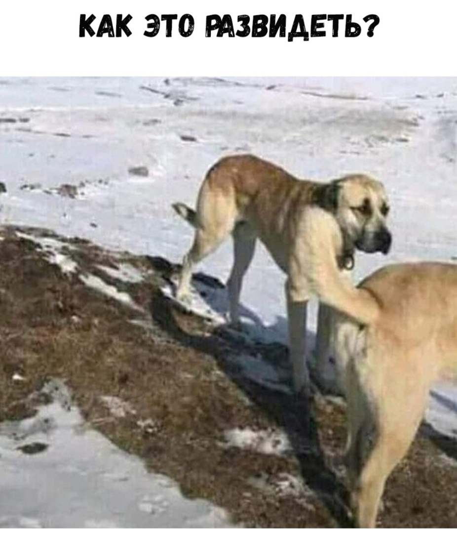 КАК ЭТО РАЗВИАЕТЬ