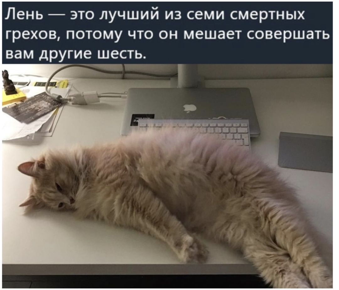 Лень это лучший из семи смертных грехов потому что он мешает совершать вам другие шесть