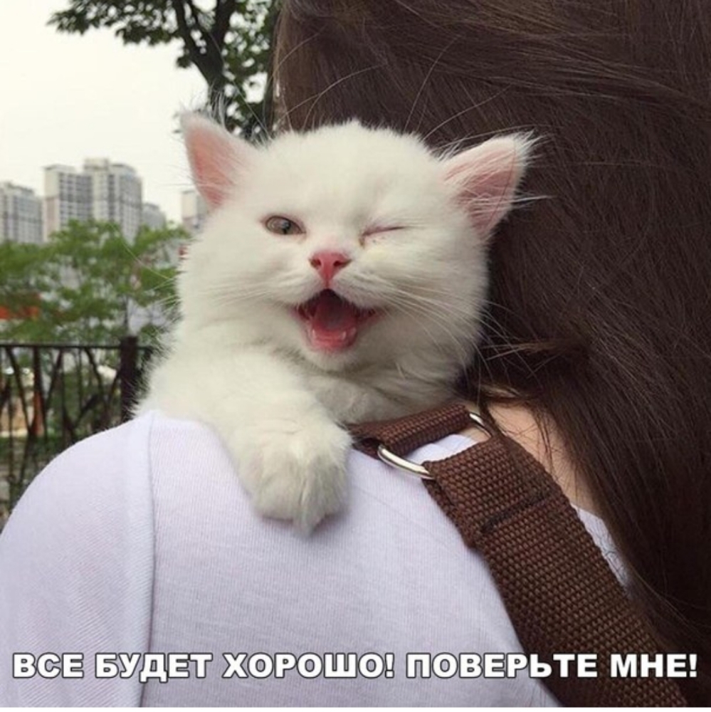 Е женит поверьте мнв