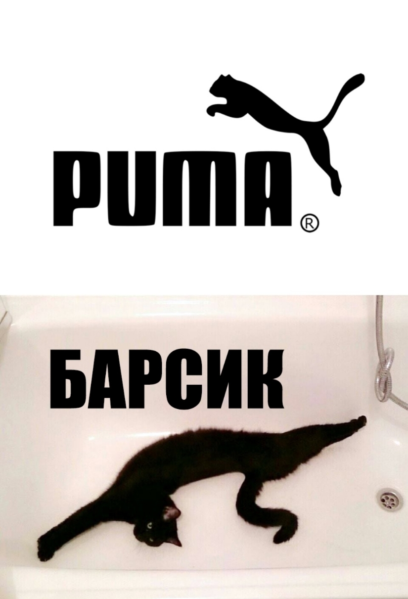 Слово барсика. Фирма Пума прикол. Смешные логотипы. Пума эмблема. Puma Барсик.