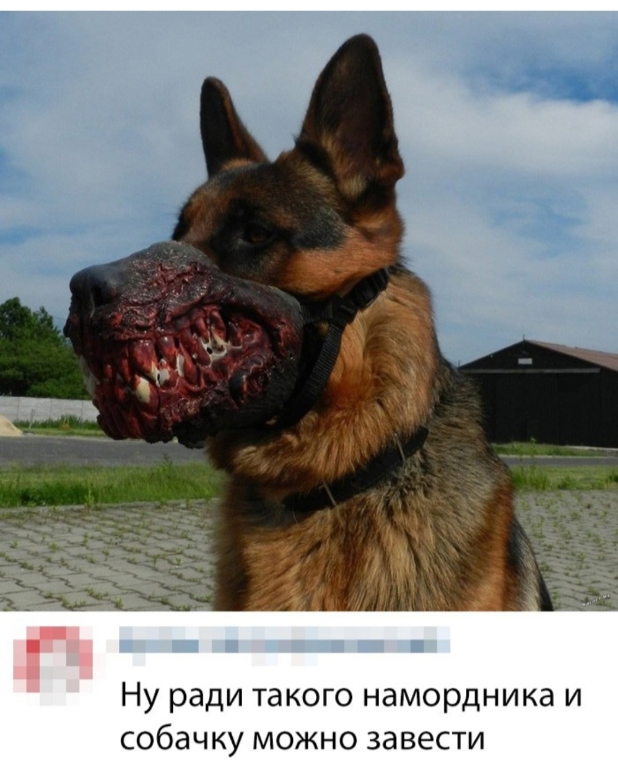 Ну ради такого намордника и собачку можно завести