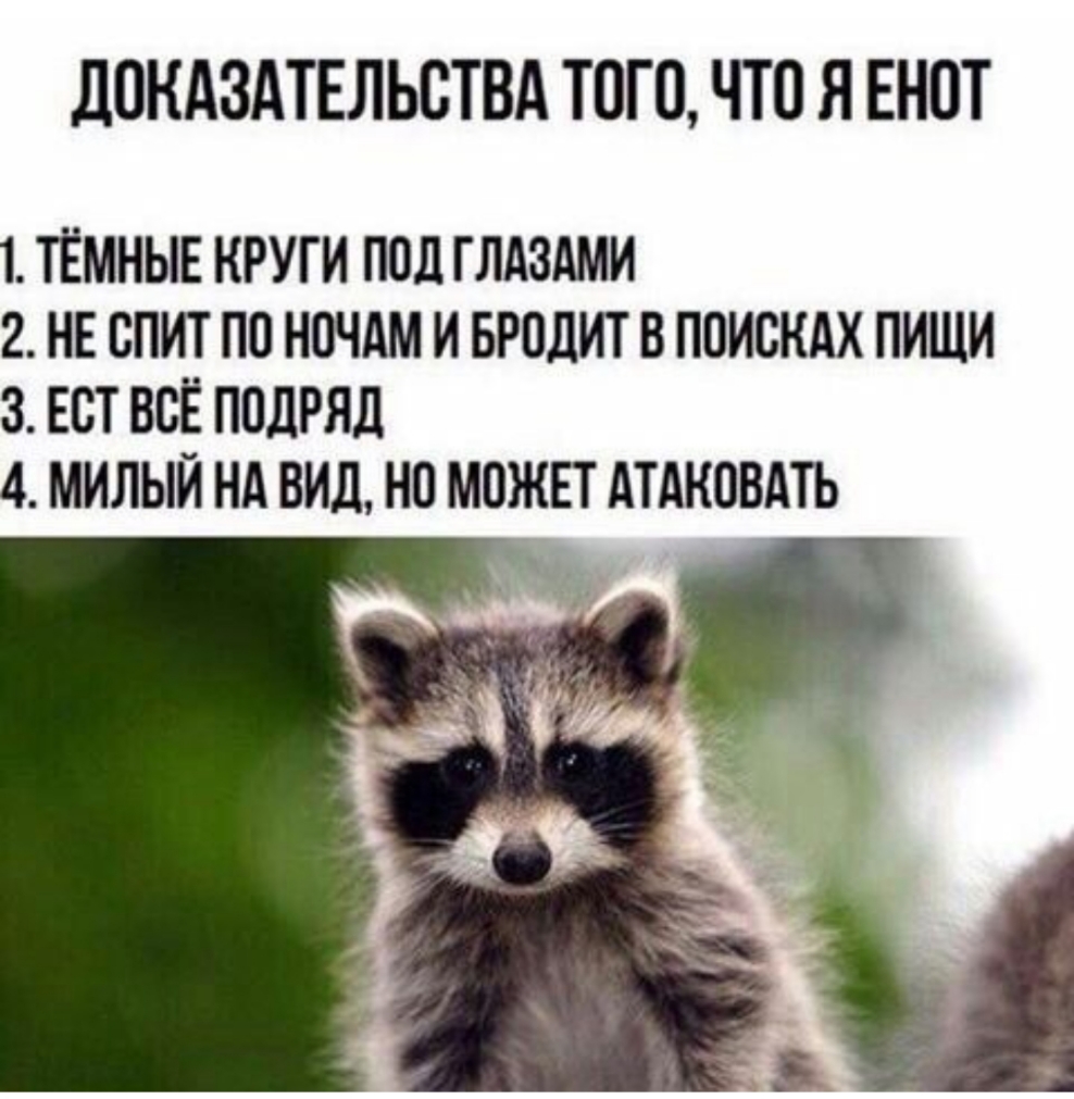 ПОКАЗАТЕЛЬОТВА ТОГО ЧТО Я ЕНОТ 1 ТЁМНЫЕ КРУГИ ПОД ГЛАЗАМИ 2 НЕ ОПИТ ПО НОЧАМ И БРОЛИТ В ПОИСКАХ ПИЩИ 3 ЕОТ ВОЁ ПОДРЯД 4 МИЛЫЙ НА ВИД НО МОЖЕТ АТАКОВАТЬ