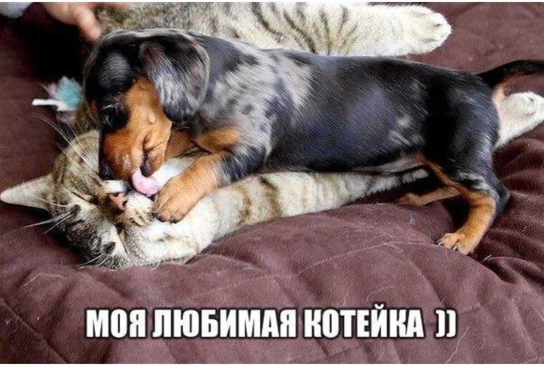 да _ не 5 г і _ _ ЁЁ МПППЮБИМАПКШБИМ П д т 7 д