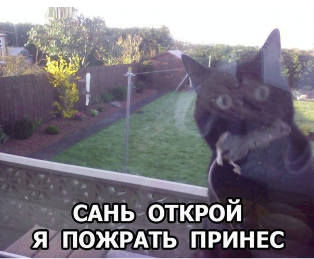 САН ь Открой я пожрАть ПРИНЕС Ц