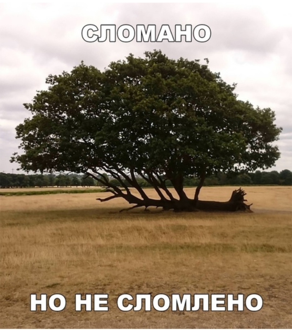 НО НЕ СПОМЛЕНО