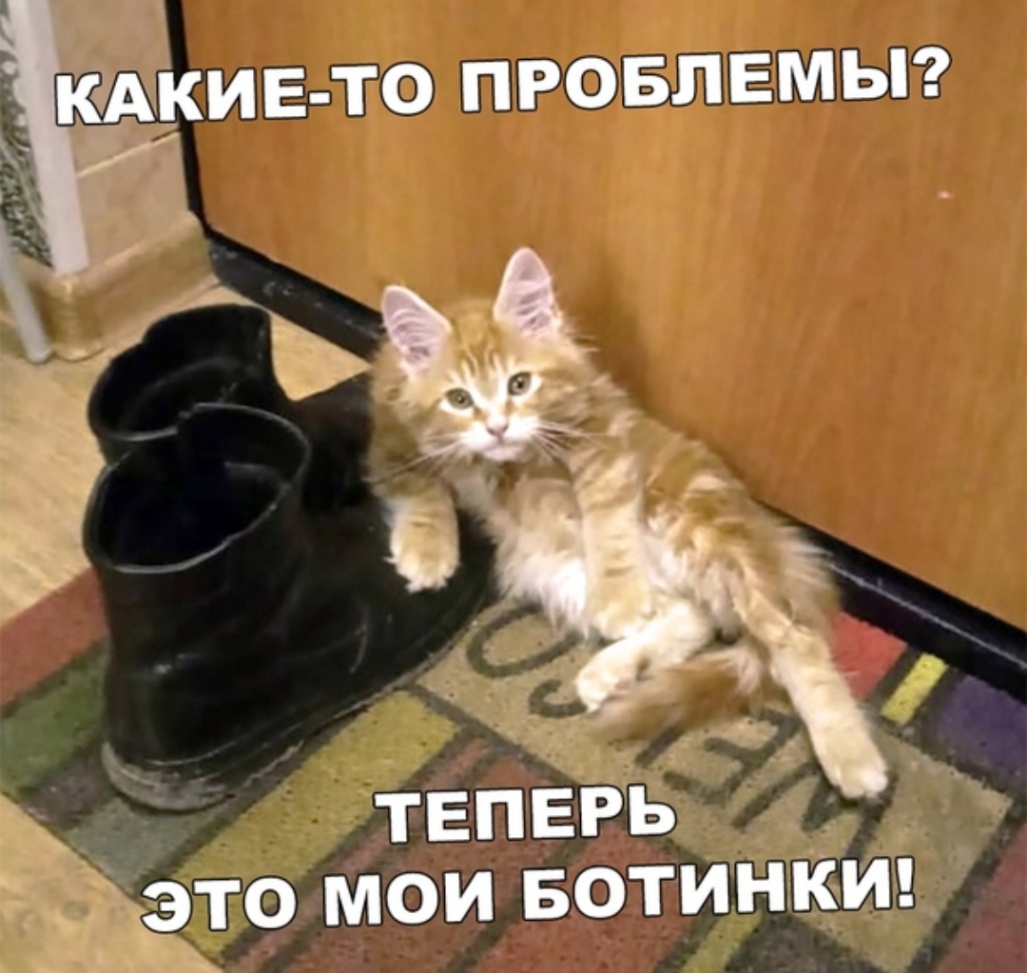 ТЕПЕРЬ то мои БОТИНКИ