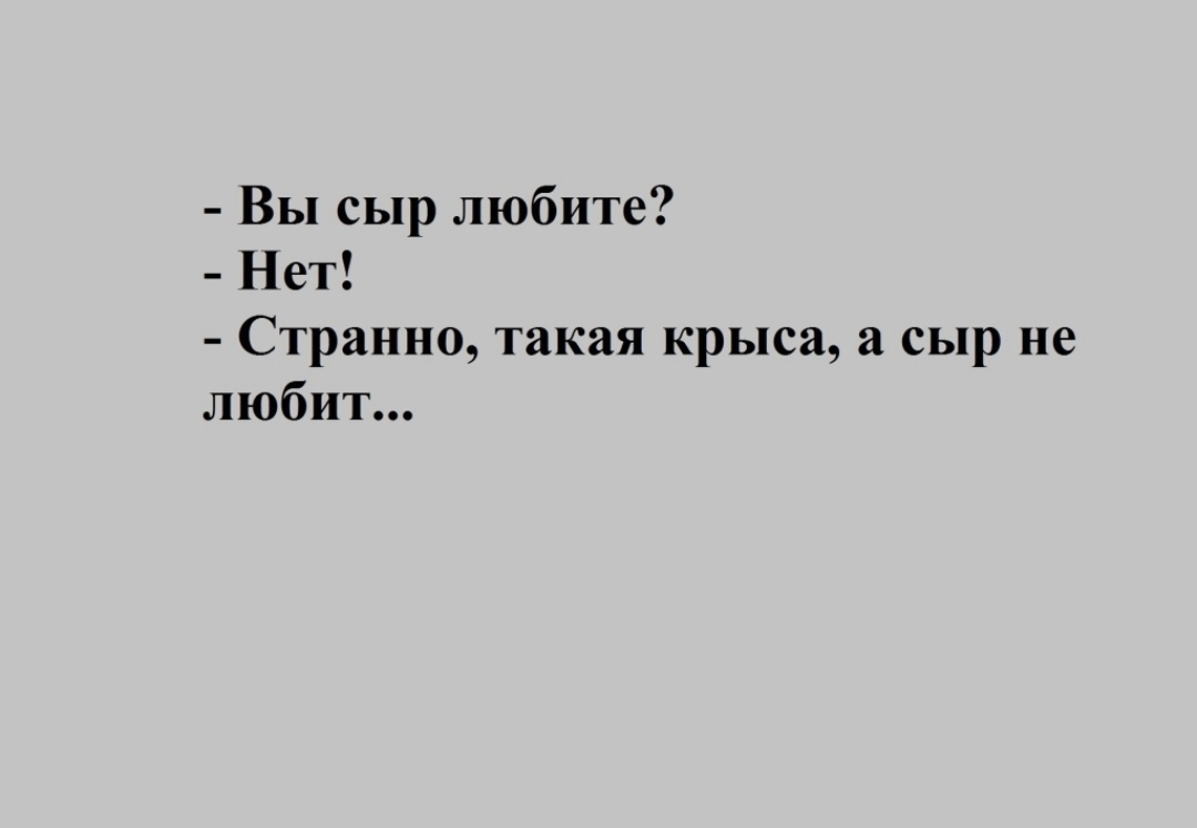 Вы сыр любите Нет Странно такая крыса а сыр не любит