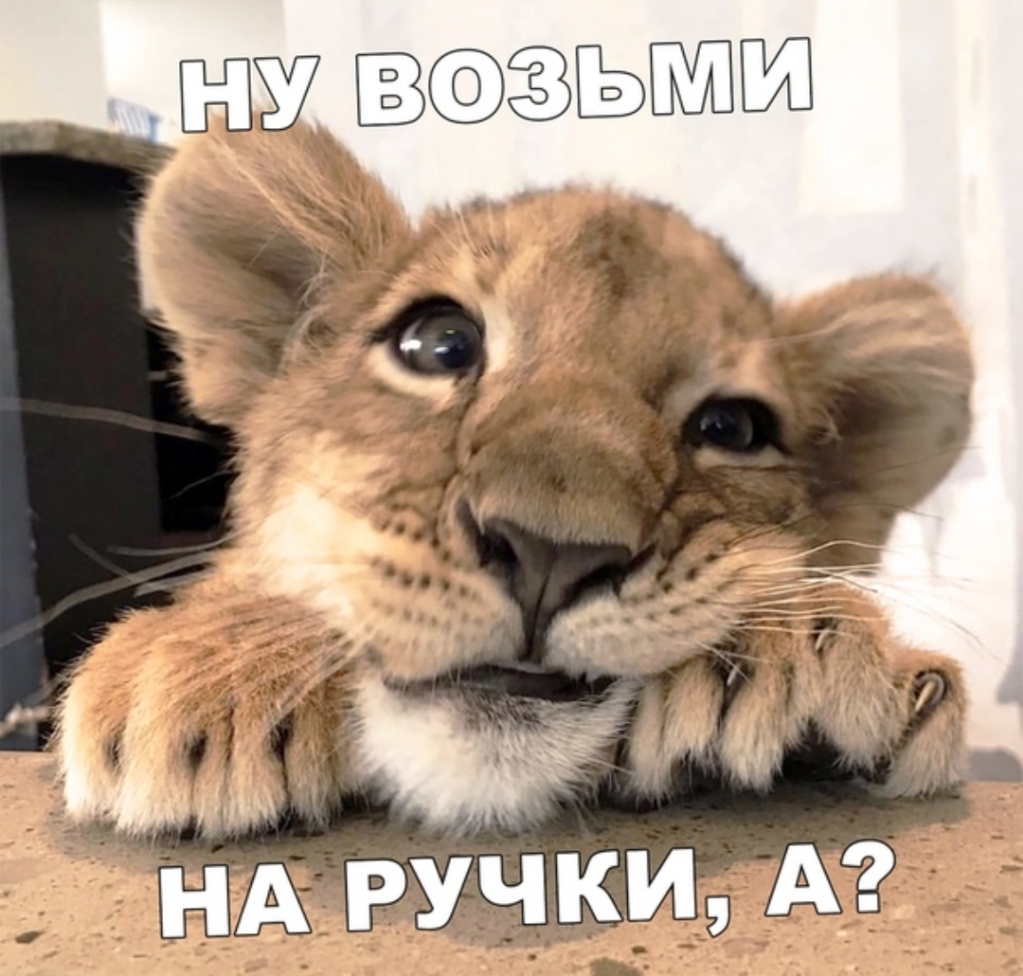 __ НА РУЧКИ А_