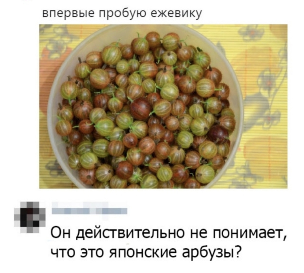 впервые пробую ежевику _ А Он действительно не понимает что это японские арбузы
