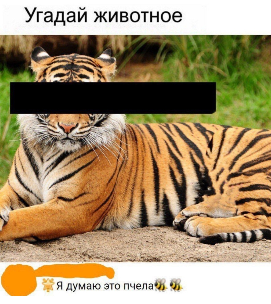 У адай животное Я думаю это пчела