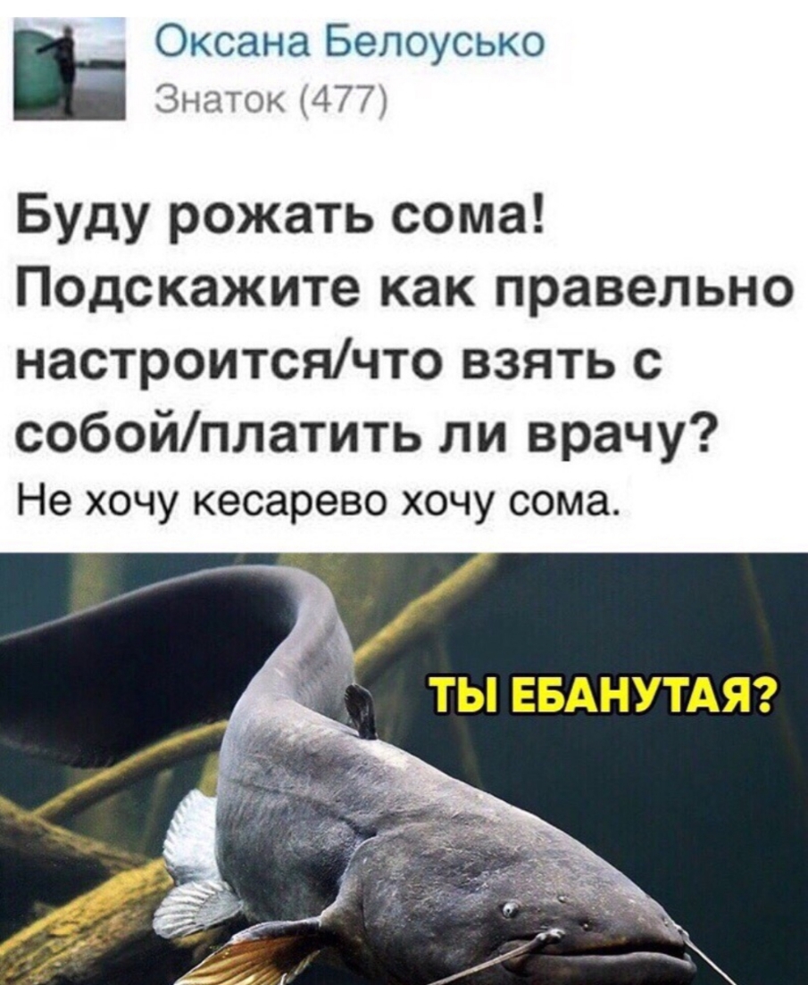 Оксана Белоусько Знаток 477 Буду рожать сома Подскажите как правельно настроитсячто взять с собойплатить ли врачу Не хочу кесарево хочу сома ТЫ ЕБАНУТАЯ