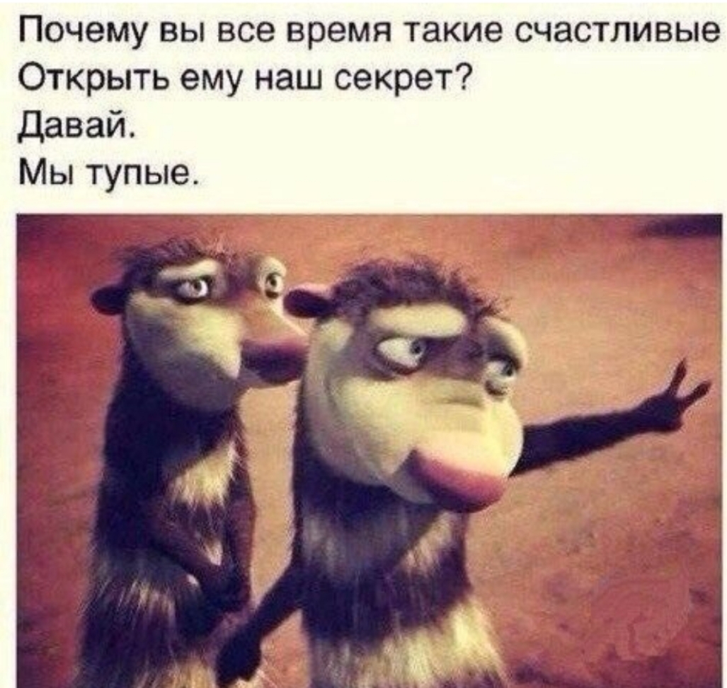 Почему вы все время такие счастливые Открыть ему наш секрет Давай Мы тупые