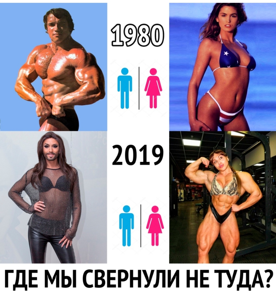 ГДЕ МЫ СВЕРНУЛИ НЕ ТУДА