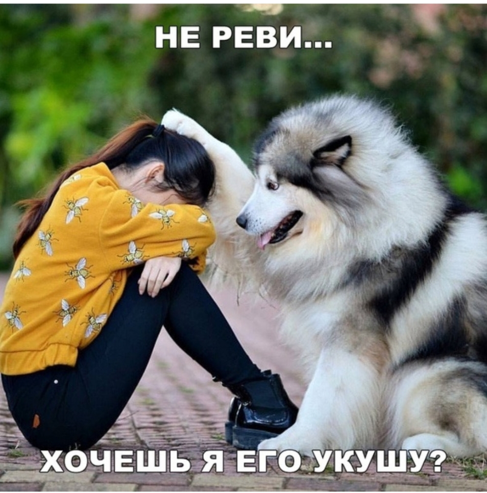 НЕ РЕВИД