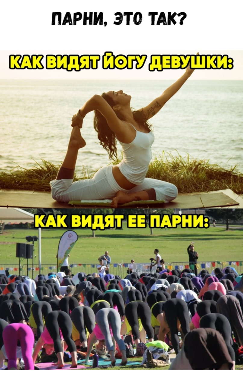 Т о т 3 И н Р А П