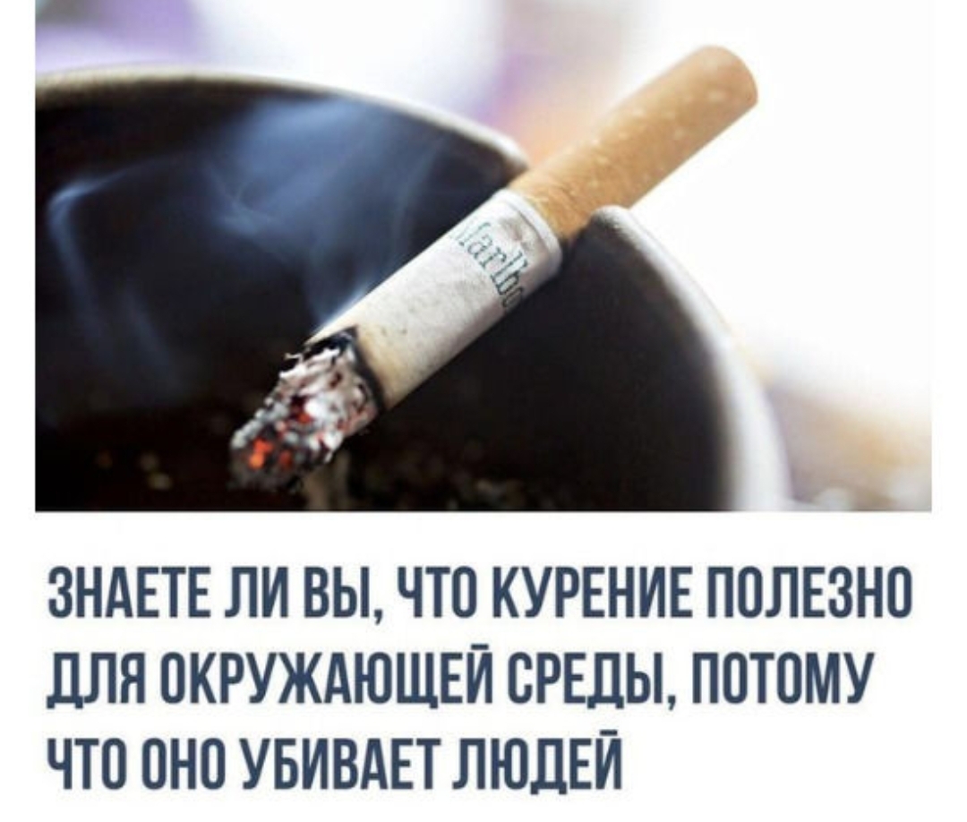 ЗНАЕТЕ ЛИ ВЫ ЧТО КУРЕНИЕ ПОЛЕЗНО дЛЯ ОКРУЖАЮЩЕЙ СРЕДЫ ПОТОМУ ЧТО ОНО УБИВАЕТ ЛЮДЕЙ