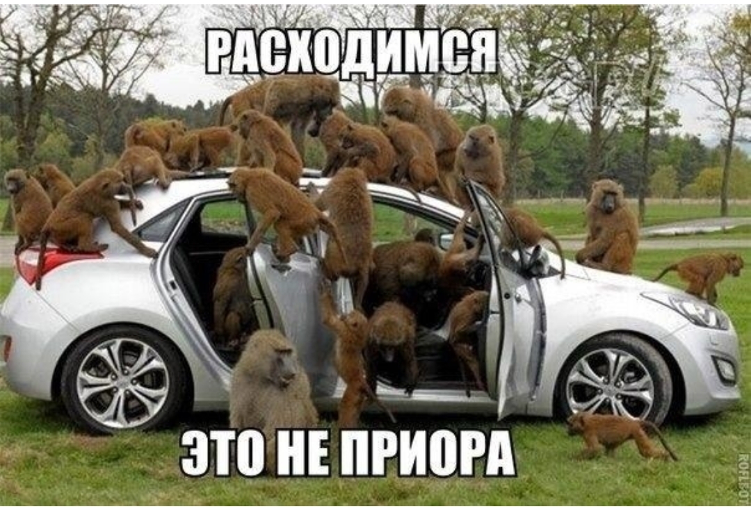 _ дажЕм это нвпвидгід