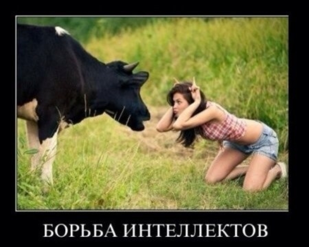 51 __ _ БОРЬБА интвллвктов