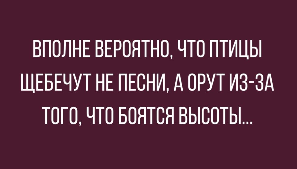 ВПОЛНЕ ВЕРОЯТНО ЧТО ПТИЦЫ ЩЕБЕЧУТ НЕ ПЕСНИ А ОРУТ ИЗ ЗА ТОГО ЧТО БОЯТСЯ ВЫСОТЫ