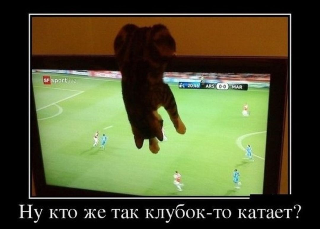 Ну кто же так клубок то катает