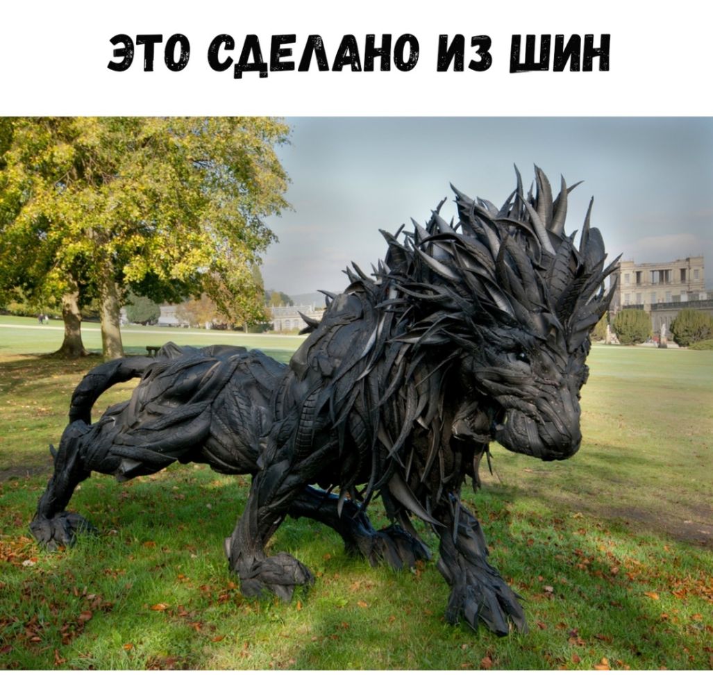 ЭТО САЕААНО ИЗ ШИН