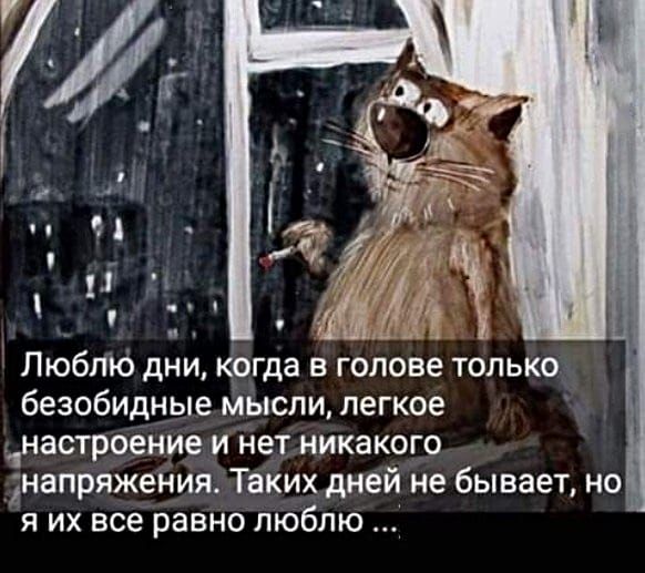 Люблю дни когда в голове только безобидные мысли легкое 1настроение и нет никакого напряжения Таких дней не бывает но я их все равно люблю