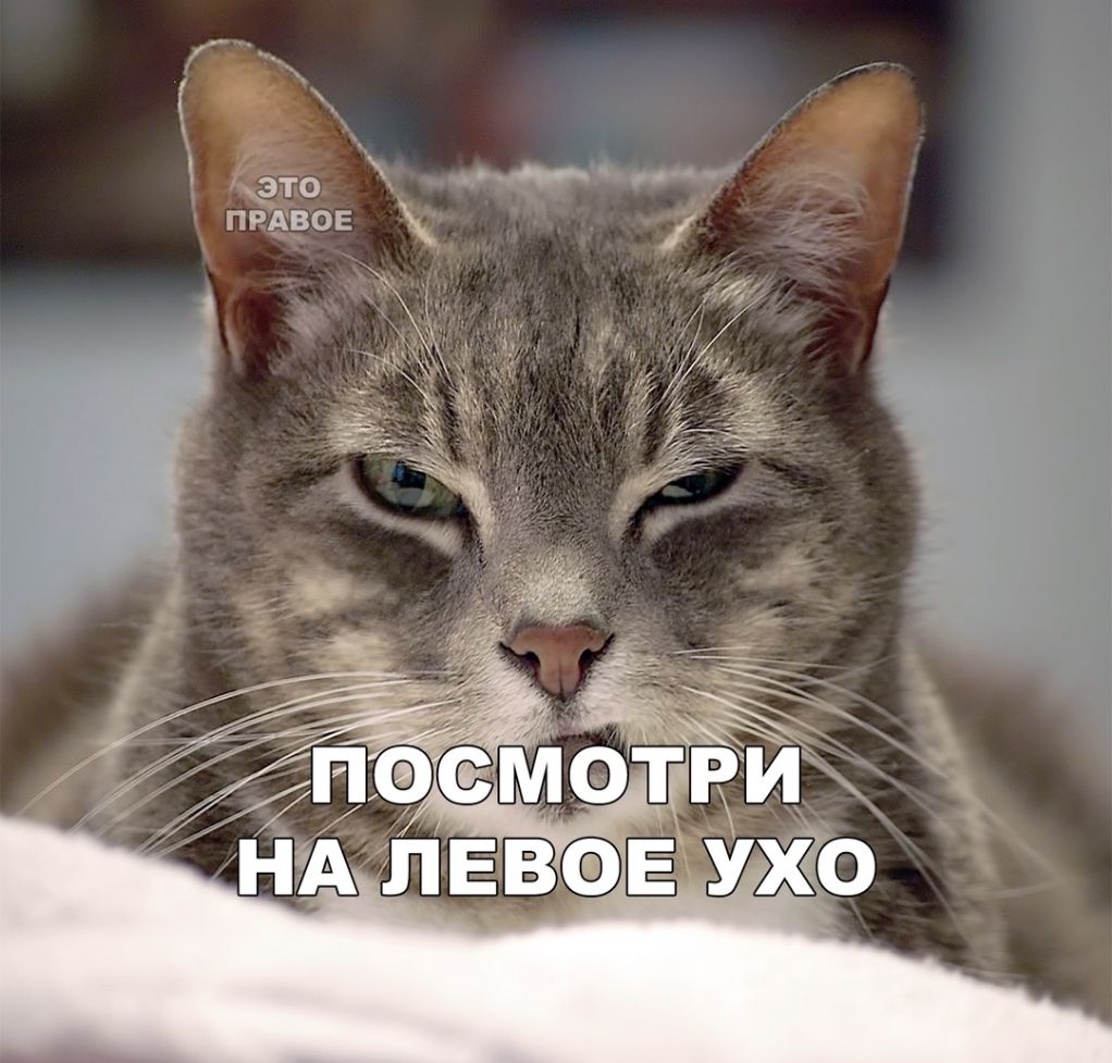 это ПРАВОЕ 15 ч_ д