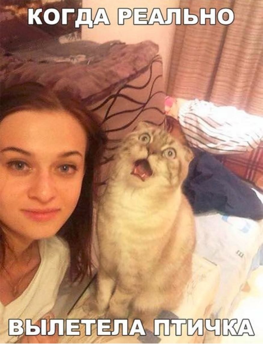 КОГДЩАЕ ьно