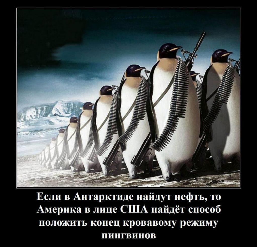 Если в Антарктиде найдут нефть то Америка в лице США найдёт способ положить конец кровавому режиму пингвинов