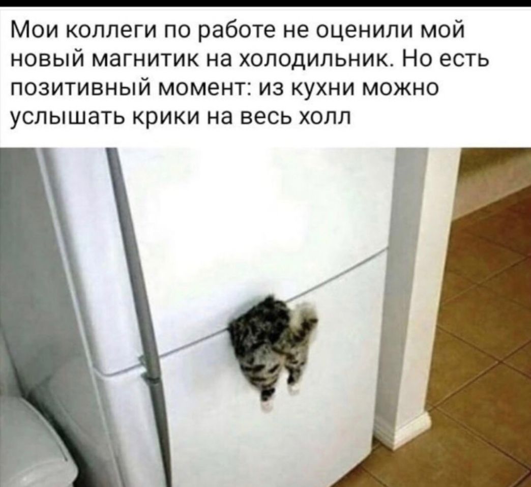 МОИ КОЛЛЕГИ ПО работе не ОЦЕНИЛИ МОЙ НОВЫЙ магнитик Нд ХОЛОДИЛЬНИК НО ЕСТЬ ПОЗИТИВНЫЙ МОМЭНТЗ ИЗ КУХНИ МОЖНО УСЛЫШЭТЬ КРИКИ на весь ХОЛЛ